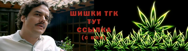 гидра Аркадак