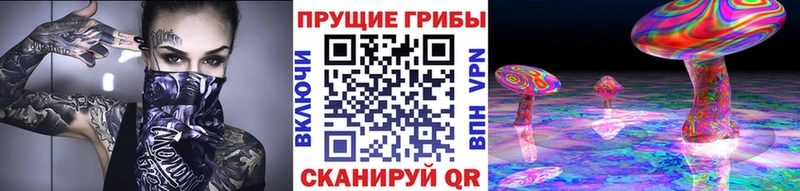 Галлюциногенные грибы мухоморы Светлоград