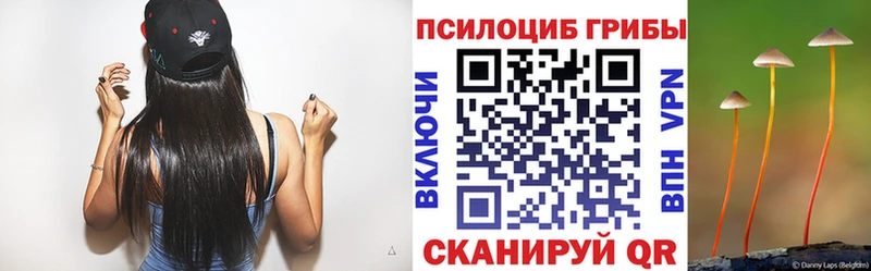 Псилоцибиновые грибы прущие грибы маркетплейс наркотические препараты Светлоград